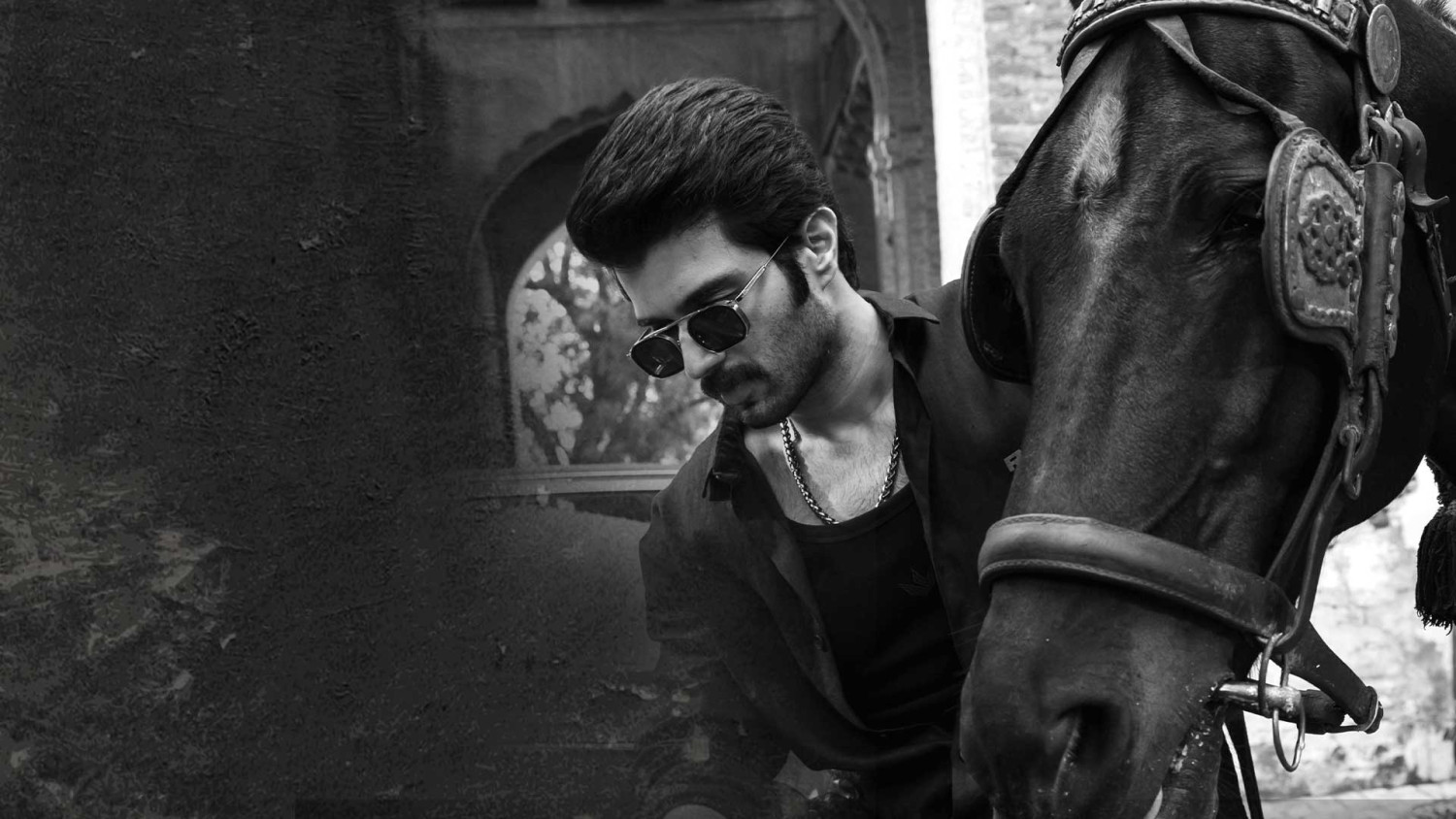 TradeWithDubai offer